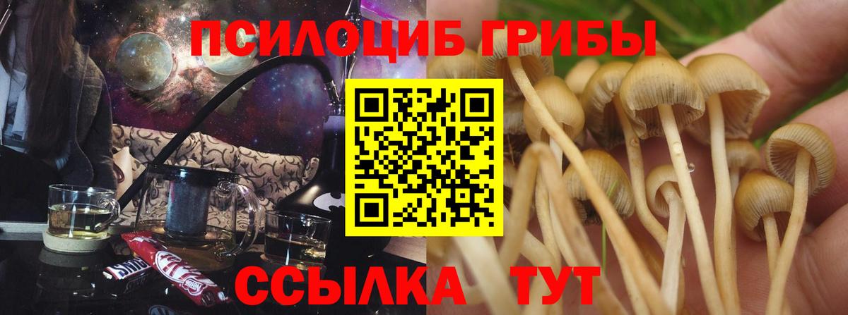 Галлюциногенные грибы Psilocybe  Вход с VPN  Галлюциногенные грибы Magic Shrooms  Видное 